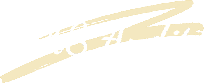 HAS Audit and Consulting – Audit, Consulting and Training Services